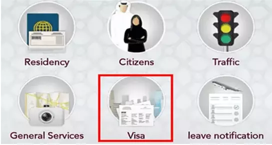 Select Visa icon